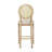 MODERN FASHION BARSTOOL