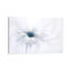 Serenity by Jacky Parker - Floater Frame Print on Canvas-1771568972-1771568975