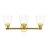Bednar 3-Light Dimmable Vanity Light-995026080