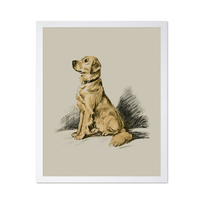 Labrador Retriever No1