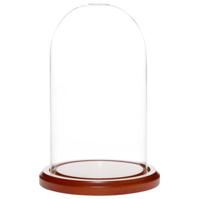 Vucciria Glass Display Dome Cloche