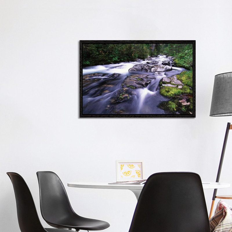Paradise River, Mt Rainier National Park, Washington by Tim Fitzharris - Floater Frame Gallery-Wrapped Canvas Giclée on Canvas