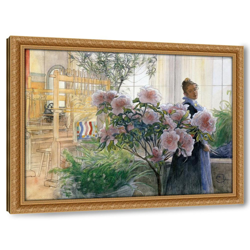 Azalea (1906)