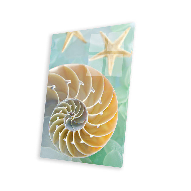 «Seaglass 2» par Alan Blaustein - photographie sans cadre, H 24 po x l 16 po x P 0,25 po