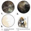 «Powerful Gorilla Primer I» sur toile-156952133-156952132
