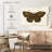 Antique Butterfly II-107923787