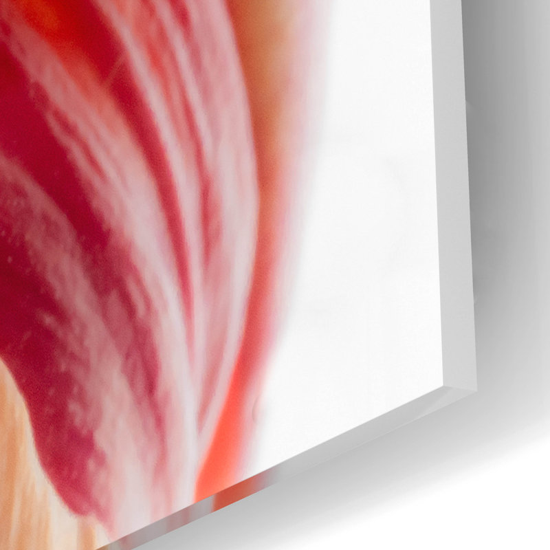 «Just A Peek» par Pamela Plummer, H 16 po x l 24 po x P 0,2 po