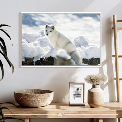 Renard arctique