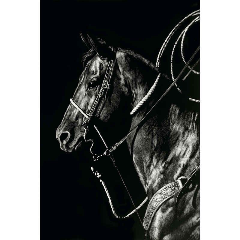 " Scratchboard Rodeo V " by Julie T. Chapman, 18" H x 12" W  