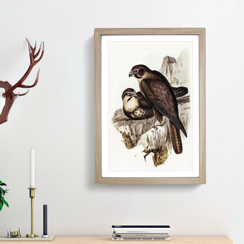 Brown Hawks by Elizabeth Gould - Picture Frame Painting Print, 48cm H x 36cm W x 2cm D, Oak Framed