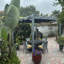 Pergola en aluminium mauve avec auvent-107362352-61830302