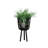 Includes plant rack flower pots