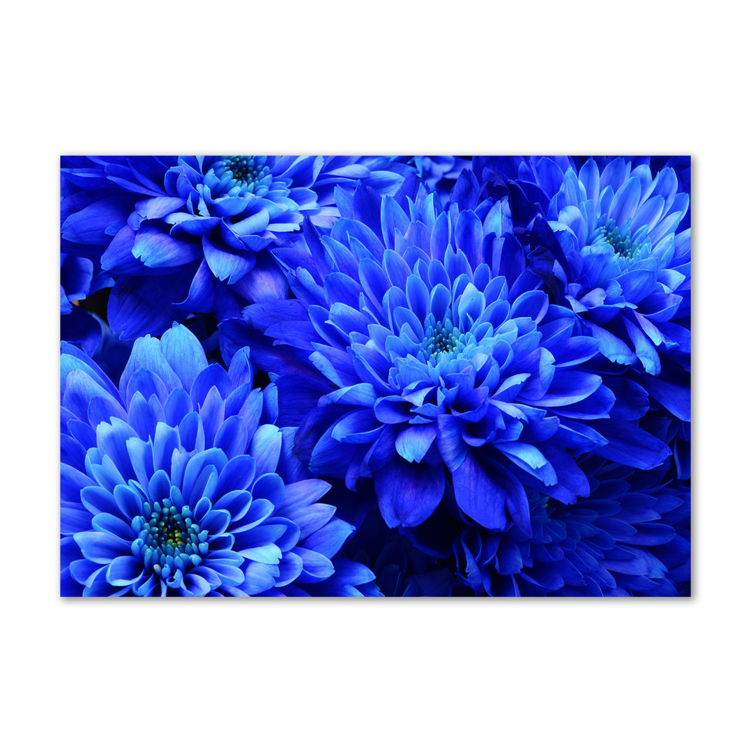 Blaue Aster - Kunstdrucke auf Segeltuch