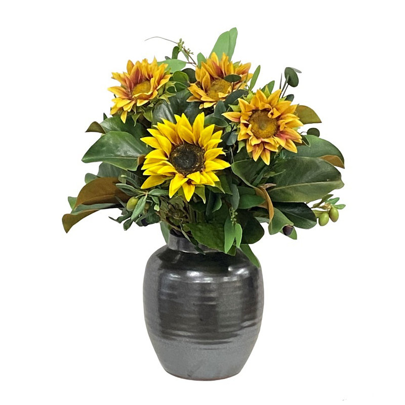 Sunflower Stem in Pot