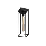 1 - Light Flush Mount