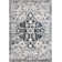 Rothstein Oriental Indoor Rug