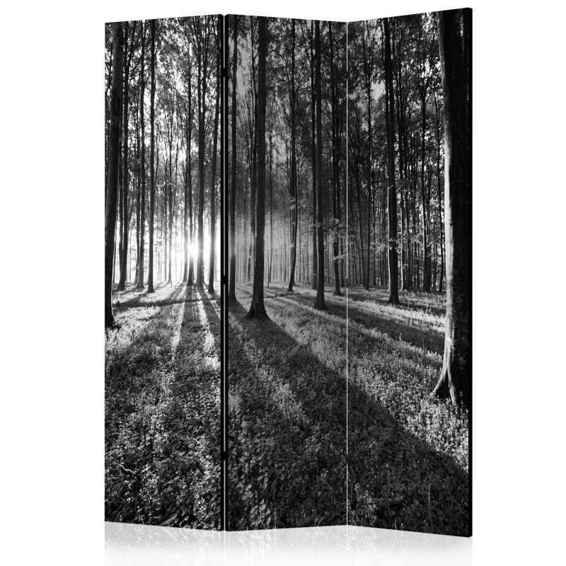 Cameron 172cm H Folding Room Divider, 3