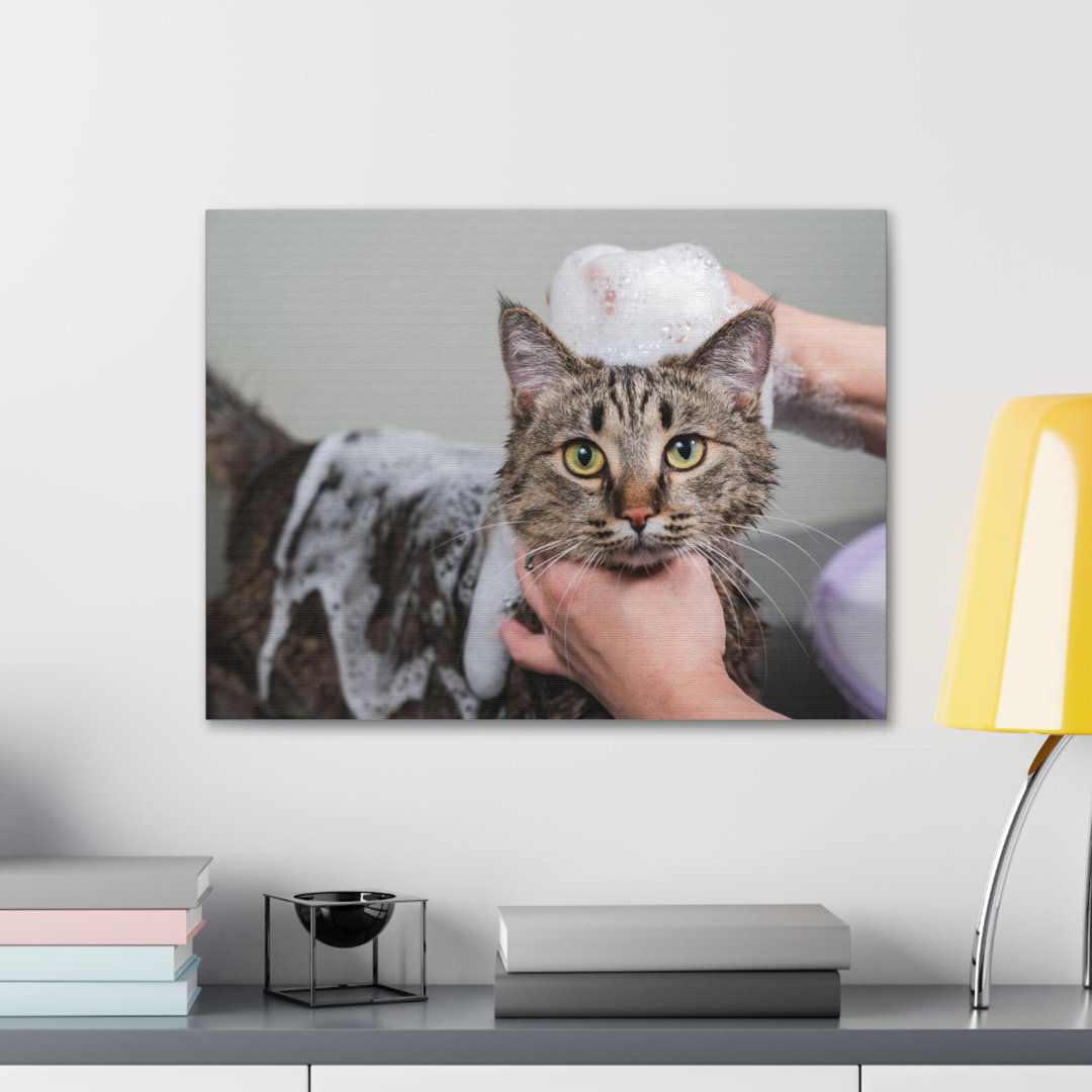 No Frame Print on Canvas