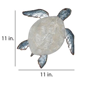 Bayou Breeze Sea Turtle Wall Décor & Reviews | Wayfair