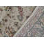 Shah Wool Floral Area Rug in Ivory/Gray/Red