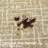 700G Woven - Like Warm Brown Grid American Style Carpet-207538843