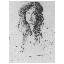Gustav Klimt - Wrapped Canvas Print-21211753