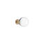 Crystal 1 in. Round Knob-56414356