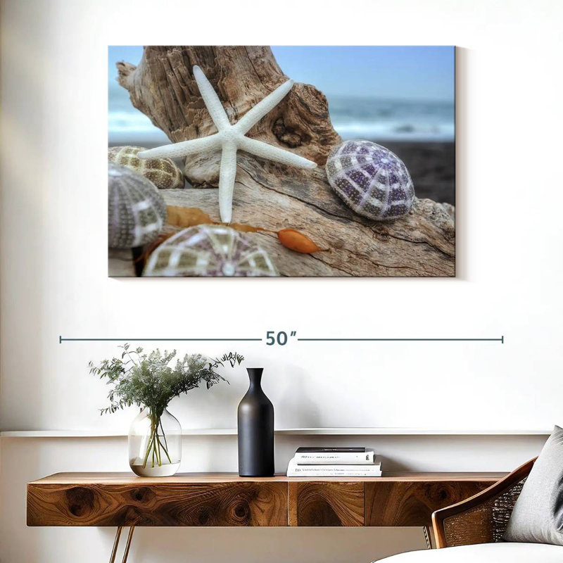White crescent beach shells vii Aletra, H 26 po x l 39 po