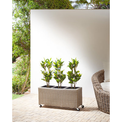 Allana Handcrafted Plastic and Steel Indoor / Outdoor Pot Planter