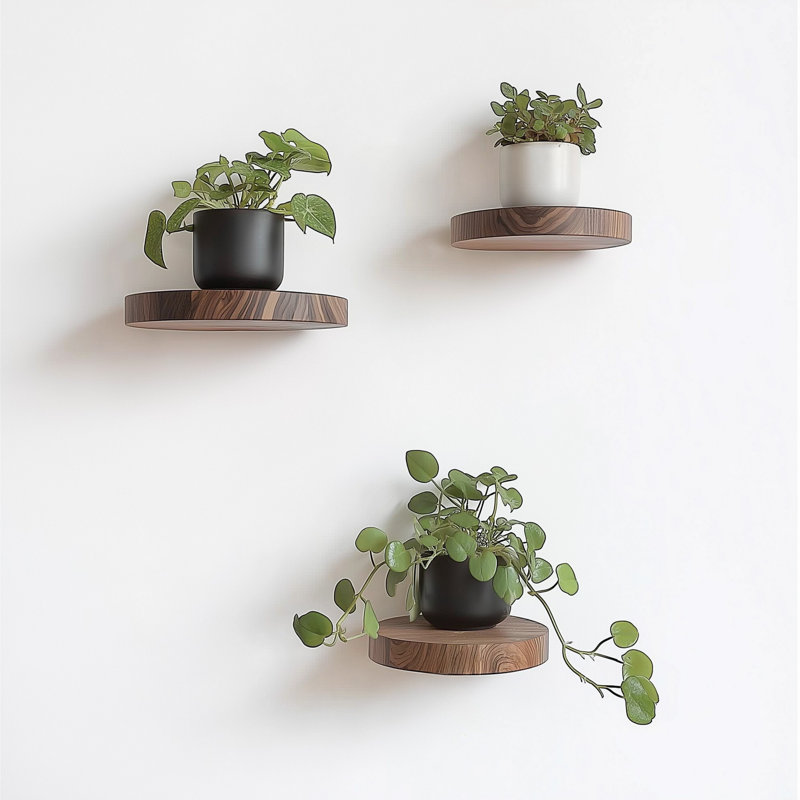 Ensemble de 3 tablettes murales décoratives rondes en bois massif pour plantes