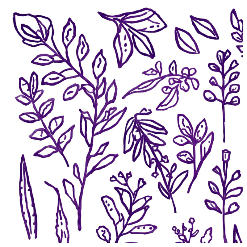 Purple Botanical Illustrations Blankets, 60in W x 80in H