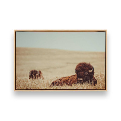Prairie Giants Resting, reproduction sur toile