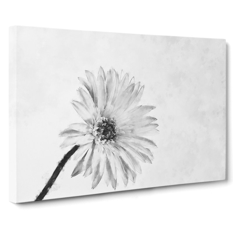 Flower Sketch Painting - Wrapped Canvas, 60cm H x 91cm W x 3cm D