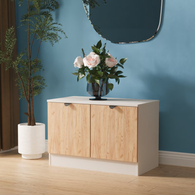 Sunehri Compact 2 Door TV & Media Unit