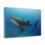 No Frame Print on Canvas