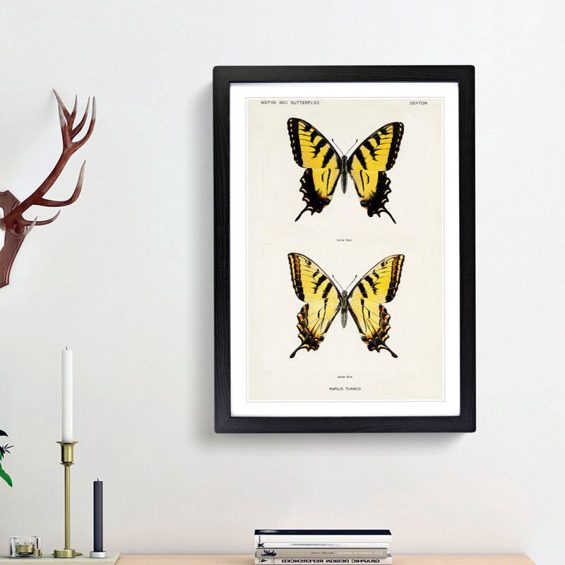 Eastern Tiger Swallowtail Butterfly by S.F. Denton - Picture Frame Graphic Art Print, 48cm H x 36cm W x 2cm D, Black Framed