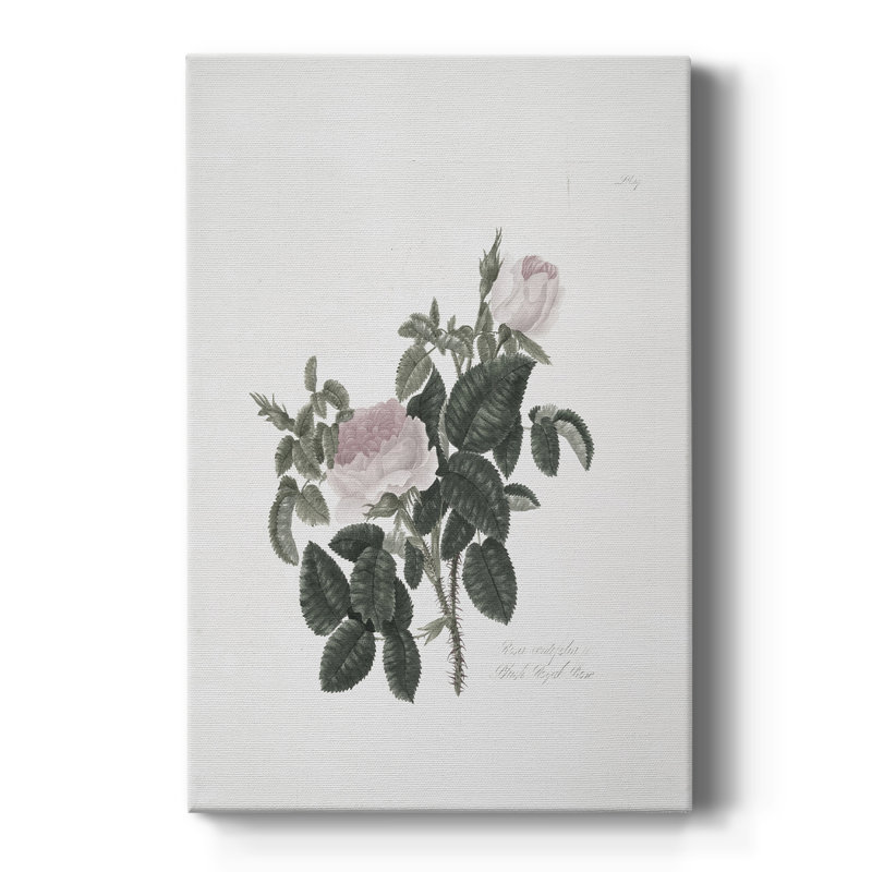 Vintage Floral Print CLXXXIX -Custom Wrapped Gallery Cavas, 36" H x 24" W