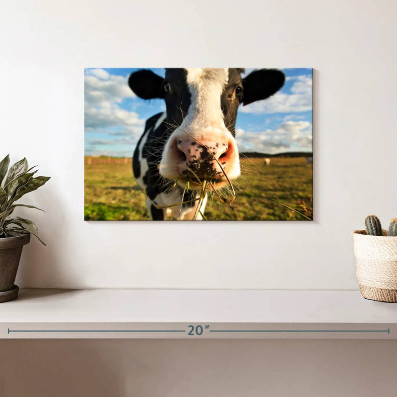 Brampt Cow Selfie, 8" H x 12" W