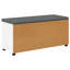 Storage Bench-1993808447