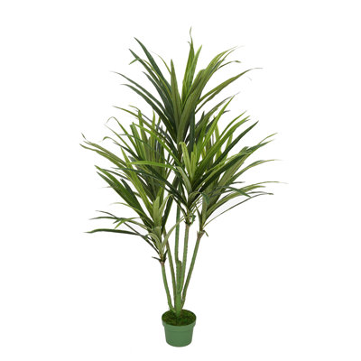 Dracaena artificiel dans un pot de fleurs