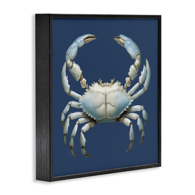 Giclée encadrée de crabe bleu aquatique détaillé, conception par Elizabeth Medley