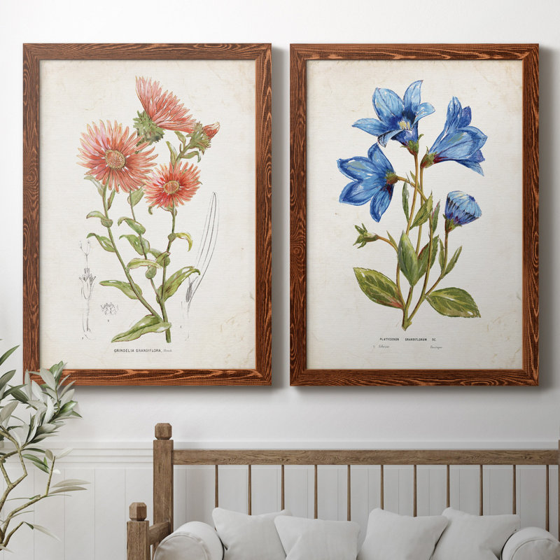 «Botanical I», ensemble de 2 reproductions d'art, Pas de tapis, Toile avec cadre érable, H 37,5 po x l 55 po x P 1,5 po