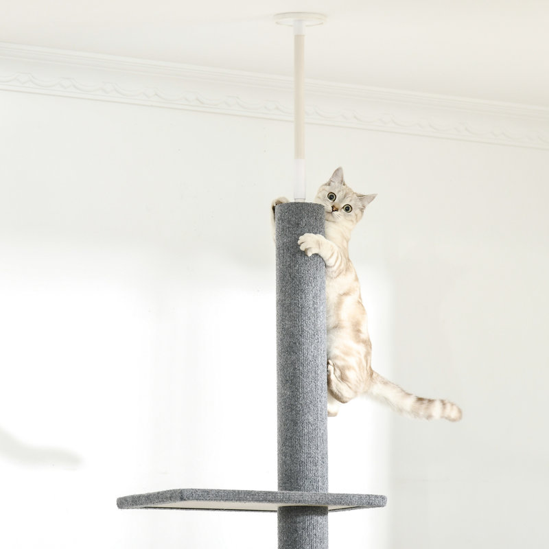 Tour pour chat de 8,5 pi de hauteur, plancher-plafond réglable avec des textures douces et plusieurs plateformes de saut pour chatons, arbre gris foncé, jeu de tringle à chat sécurisé