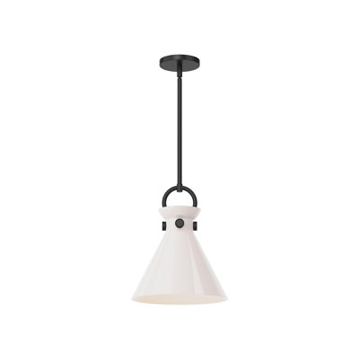 Tiney Single Light Glass Steel Pendant