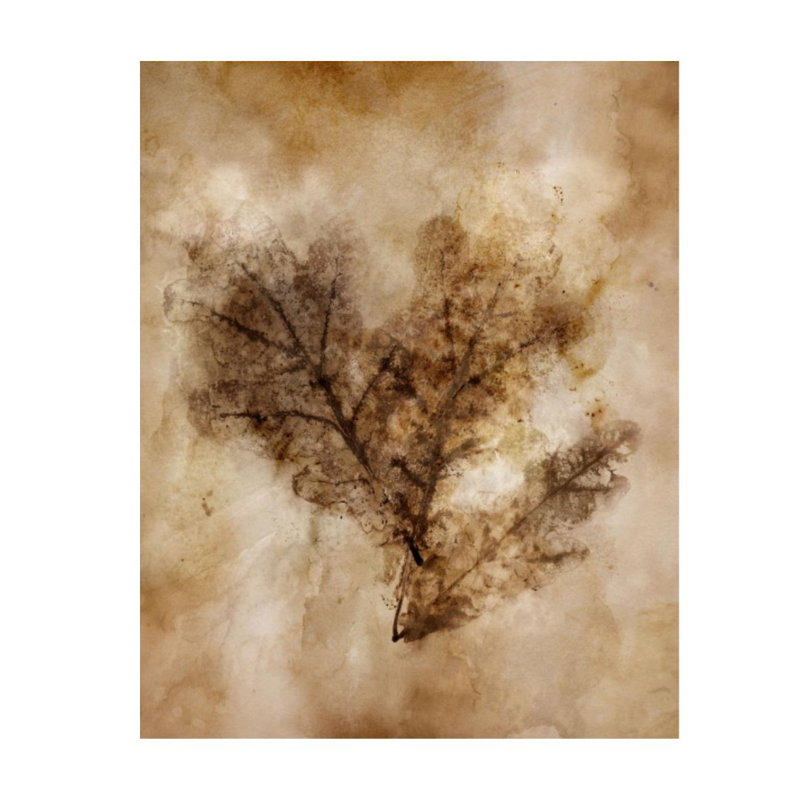 Autumnal Leaves IV Print by Mari Urasawa, 50" H x 40" W, Plexi