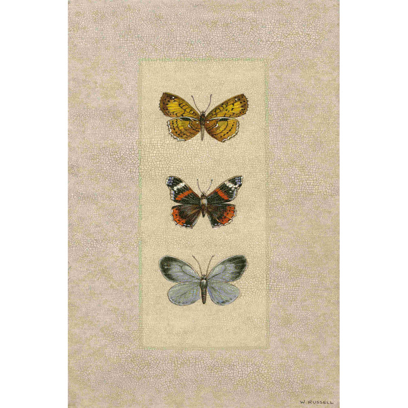 Butterfly Trio II, H 48 po x l 32 po