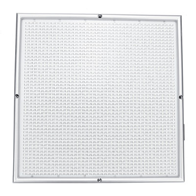 Plant Grow Light