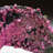 Genuine Cobaltoan Calcite Cluster