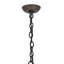 Shoshoni 8 - Light Chandelier