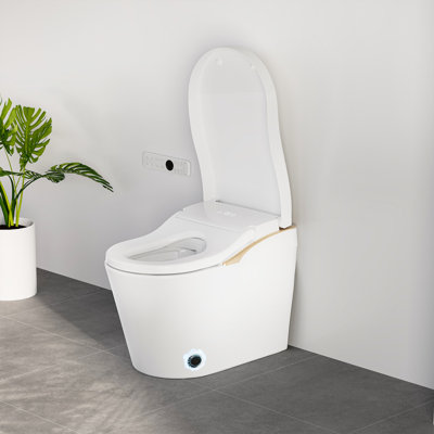 YINGZE SM8008-4 Modern Smart Toilet With Bidet Auto Flush Comfort Tall Seat With Foam Shield System， WHITE